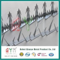 Hot Dipped Galvanized Security Spikes/ Trident Wall Spikes